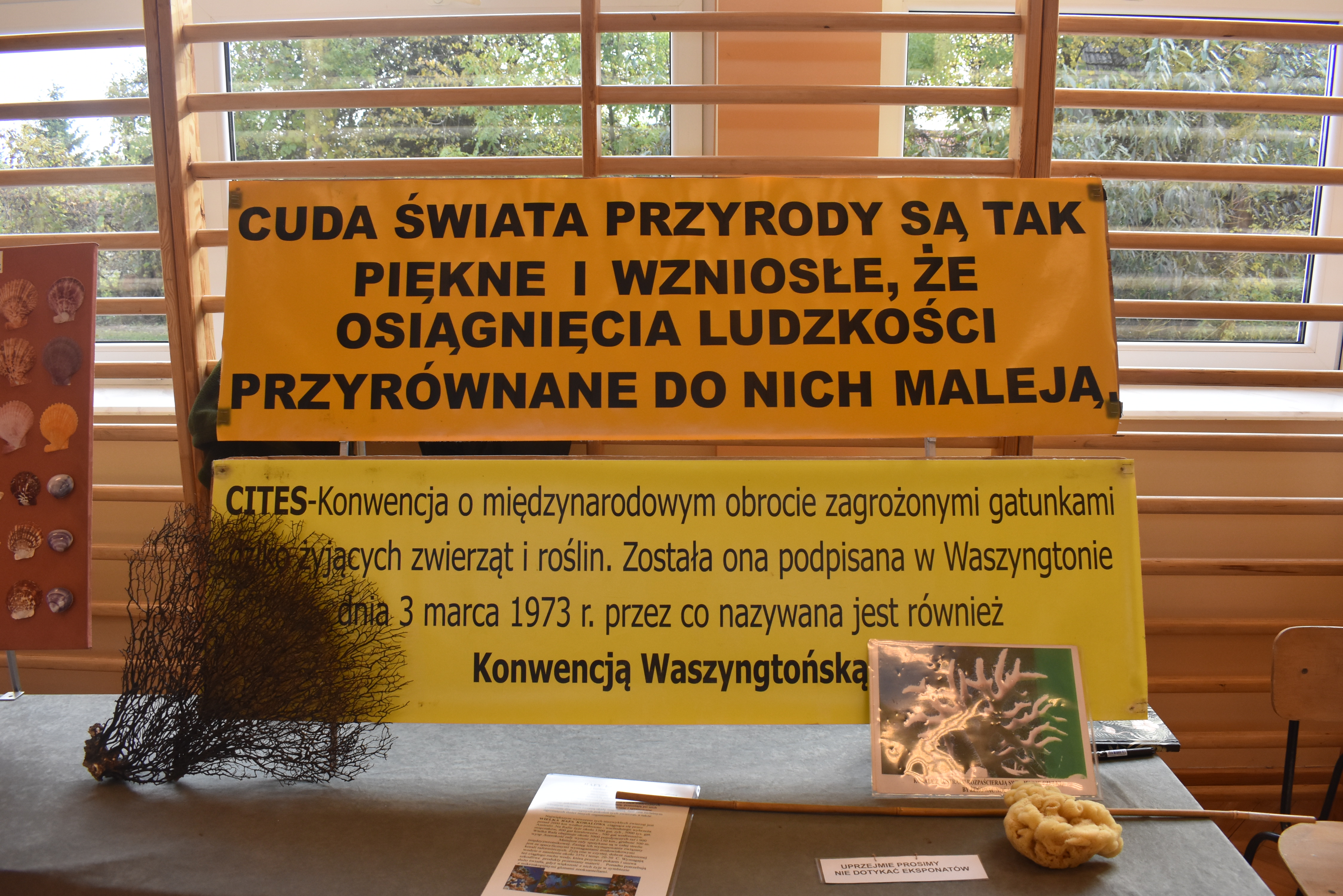 Skarby mórz i oceanów