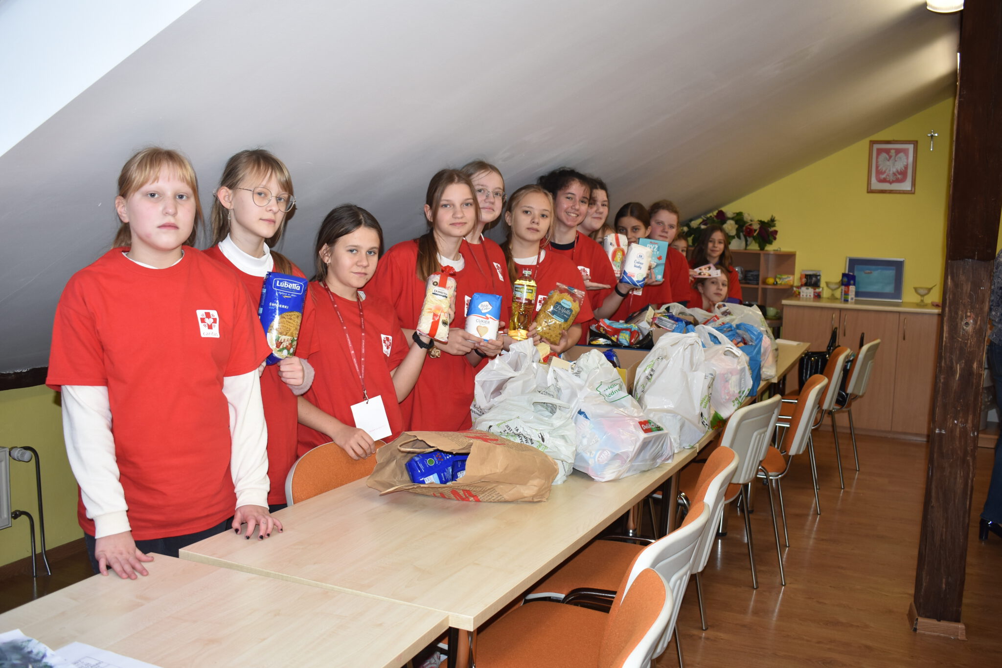 Ogólnopolska Zbiórka Żywności