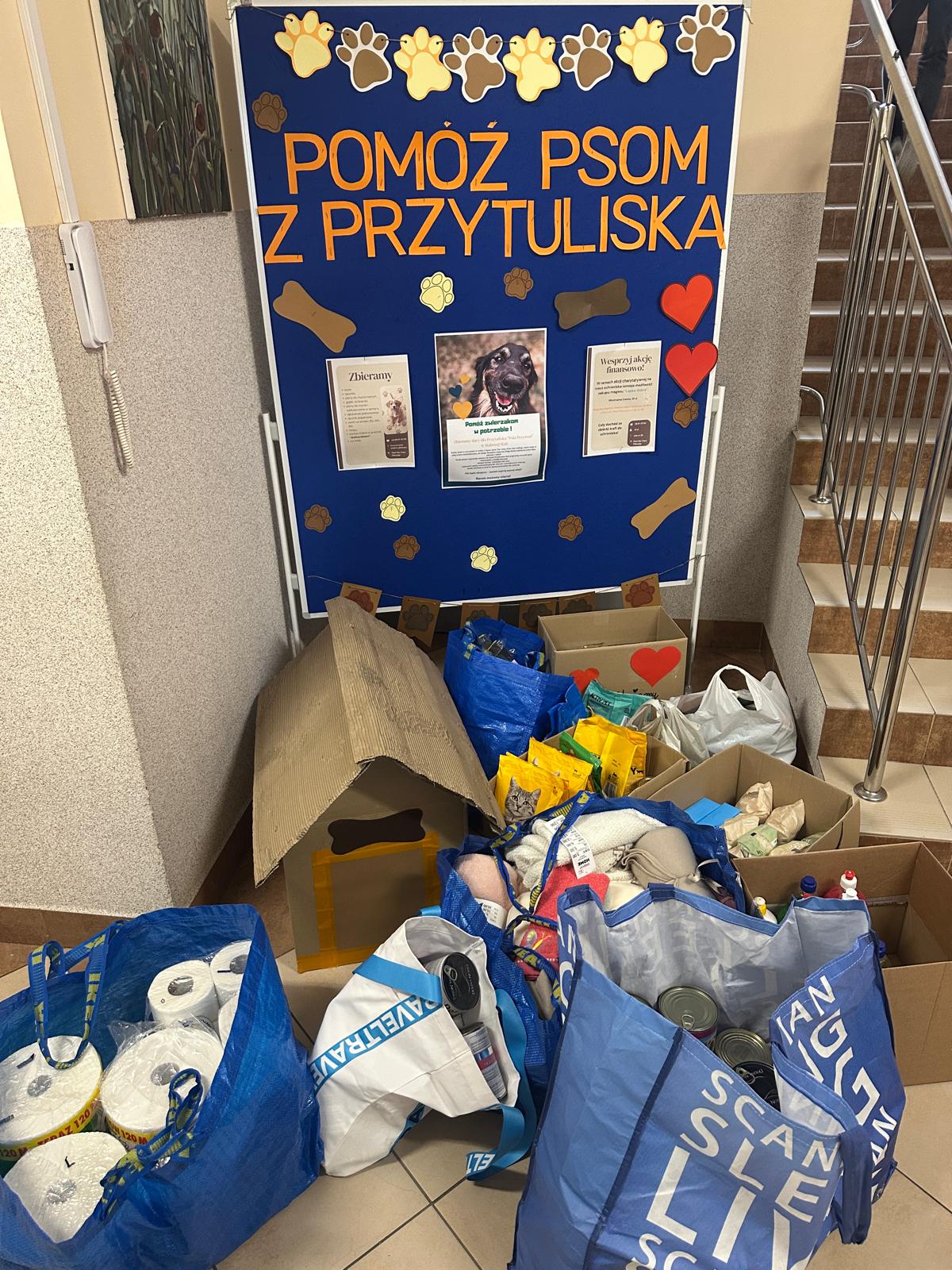 Zbiórka dla piesków